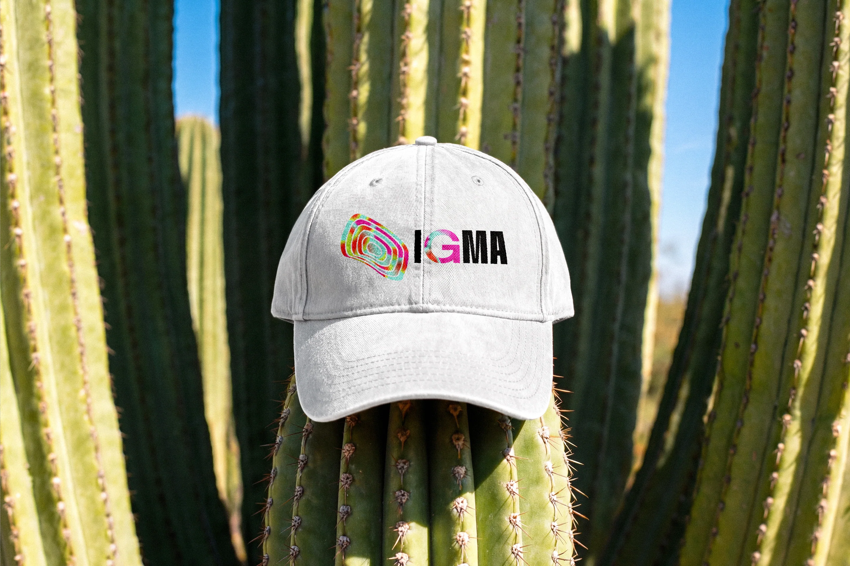 A white IGMA cap on a cactus in the desert.