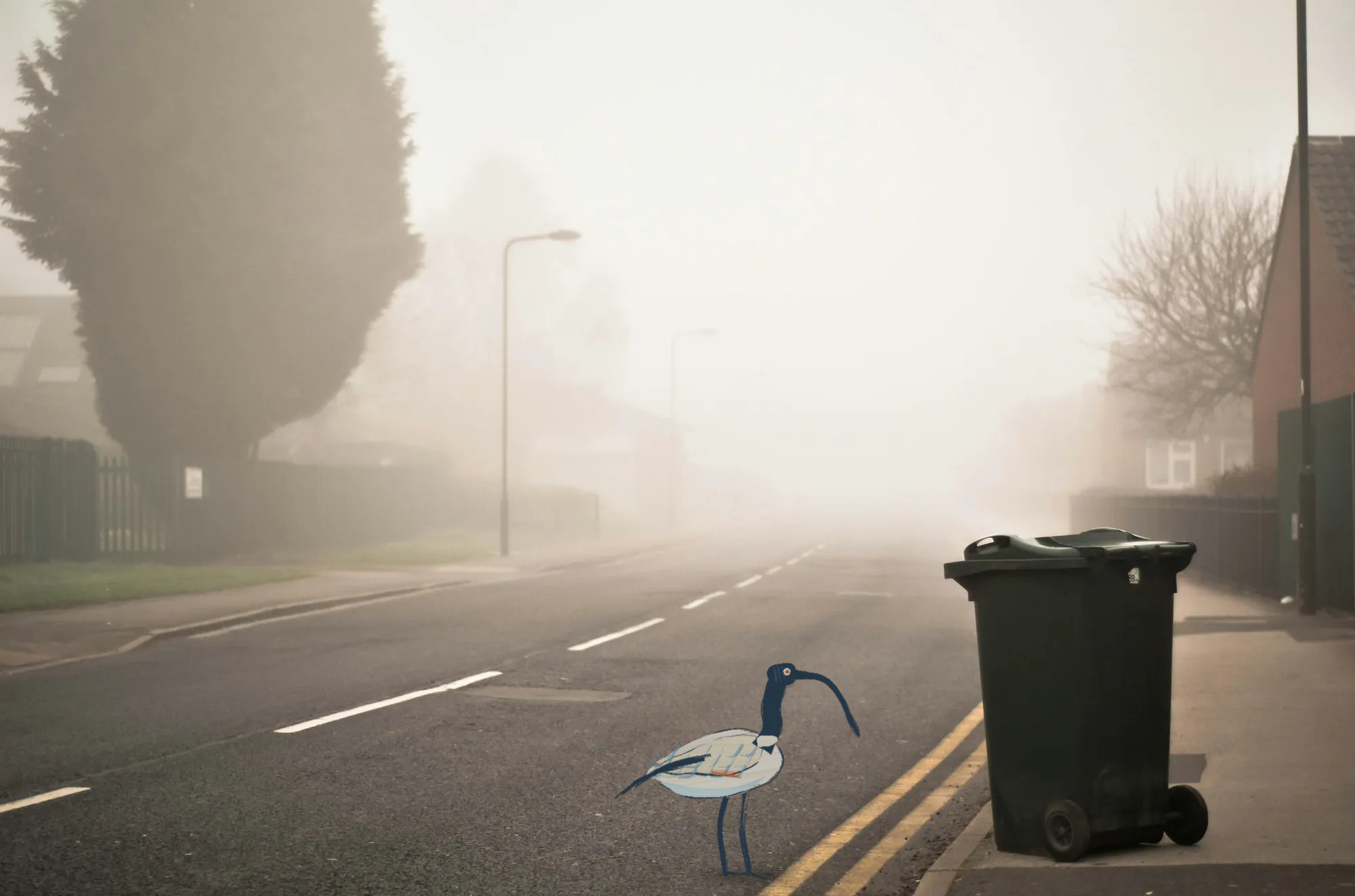 Painted bin chicken beside a wheelie bin on a foggy suburban road